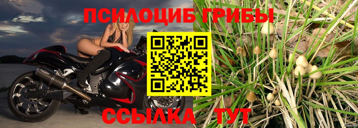 Галлюциногенные грибы Magic Shrooms  Вход с VPN  Москва  Галлюциногенные грибы Cubensis 